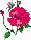 花朵鲜花_152eps,ai矢量模版下载
