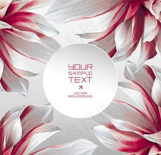 花朵圆形图标,免抠元素