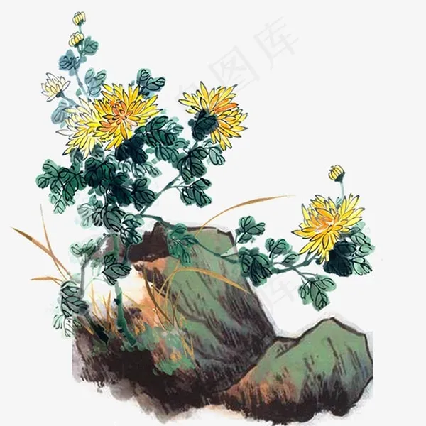 水墨菊花