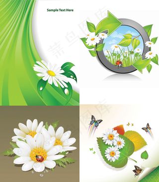 精美鲜花背景,背景元素