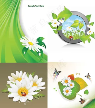 精美鲜花背景,背景元素