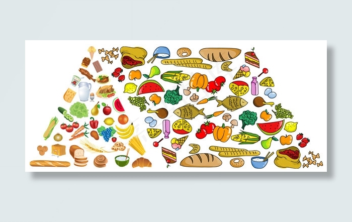 食物金字塔矢量