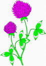 花朵鲜花_457eps,ai矢量模版下载