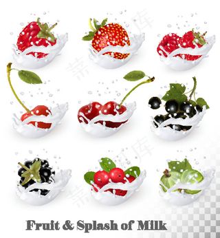 飞溅的牛奶浆果