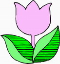 花朵鲜花_774eps,ai矢量模版下载