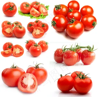 诱人的番茄