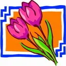 花朵鲜花_971eps,ai矢量模版下载