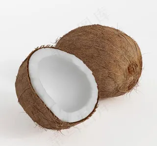 椰子模型