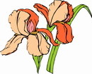 花朵鲜花_351eps,ai矢量模版下载