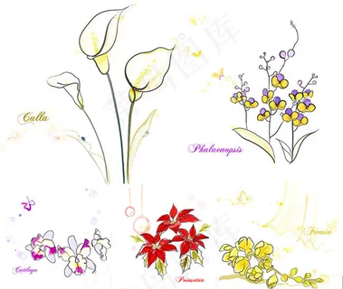 矢量手绘花,背景元素 矢量手绘花,背景元素
