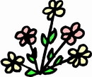花朵鲜花_770eps,ai矢量模版下载