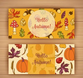 秋季植物banner