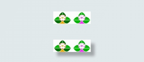 花朵鲜花_806eps,ai矢量模版下载