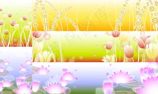 荷花郁金香背景