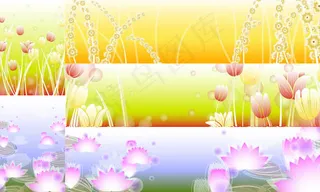 荷花郁金香背景