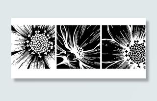 黑白花朵图案挂画