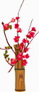 花朵鲜花_271eps,ai矢量模版下载