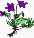 花朵鲜花_54eps,ai矢量模版下载