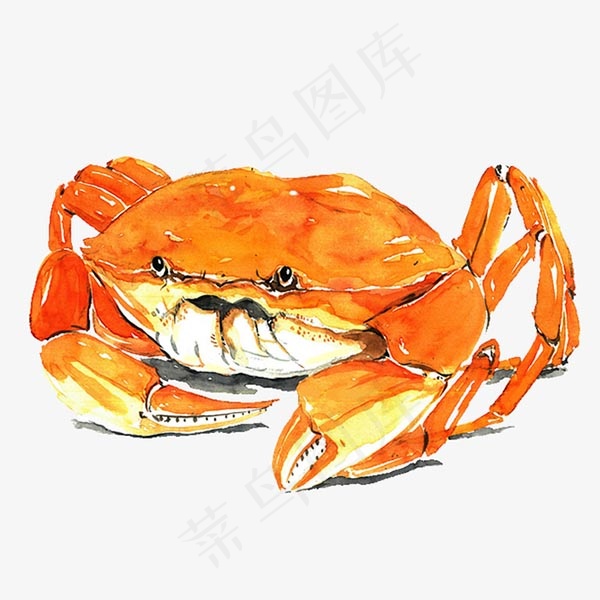 水彩金黄色大闸蟹