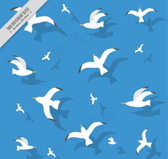 海鸥无缝背景