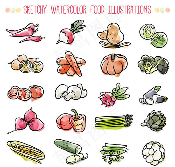 水彩绘蔬菜