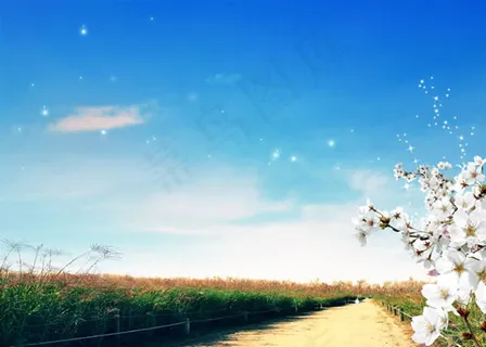 农场高粱地风景