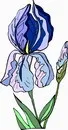花朵鲜花_218eps,ai矢量模版下载