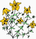 花朵鲜花_135eps,ai矢量模版下载