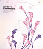 矢量花朵_22ai矢量模版下载