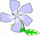 花朵鲜花_657eps,ai矢量模版下载