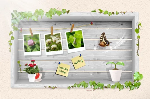 春季景象相册模板 春季景象相册模板