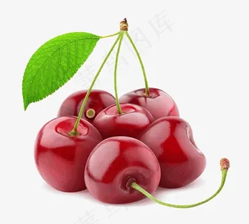 樱桃 樱桃