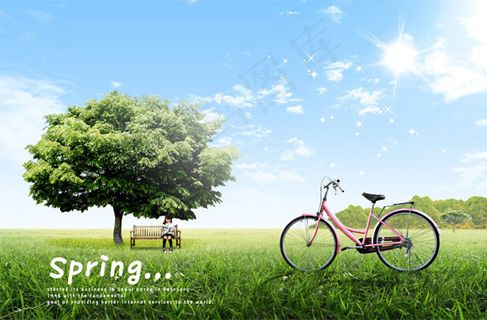 草地上的自行车