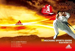 跆拳道画册封面