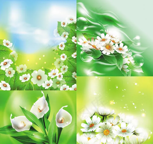 精美鲜花矢量