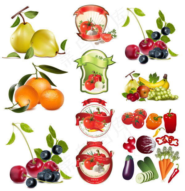 水果蔬菜矢量