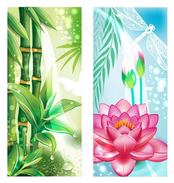 荷花竹子矢量