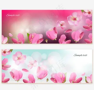 樱花banner