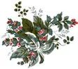 PSD精美花纹_155psd模版下载