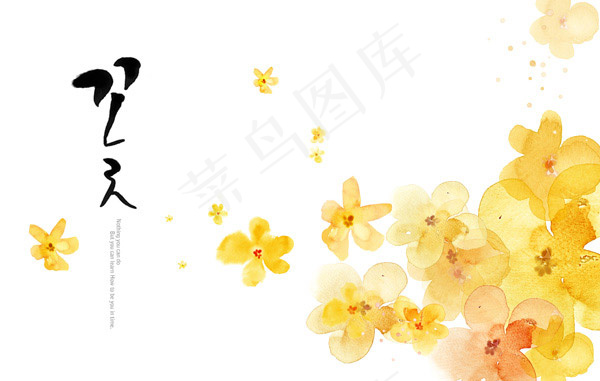黄色花朵图案(4724X3000(DPI:300))psd模版下载