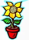 花朵鲜花_236eps,ai矢量模版下载
