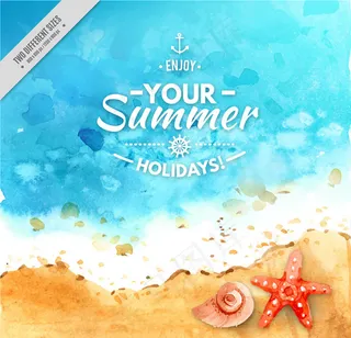 海边海螺和海星