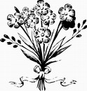 花朵鲜花_1117eps,ai矢量模版下载