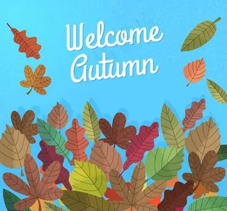 彩绘秋季落叶堆