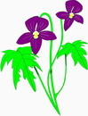 花朵鲜花_573eps,ai矢量模版下载