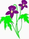 花朵鲜花_573eps,ai矢量模版下载