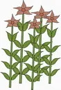 花朵鲜花_163eps,ai矢量模版下载