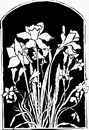 花朵鲜花_1049eps,ai矢量模版下载