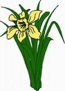 花朵鲜花_241eps,ai矢量模版下载