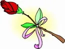 花朵鲜花_610eps,ai矢量模版下载
